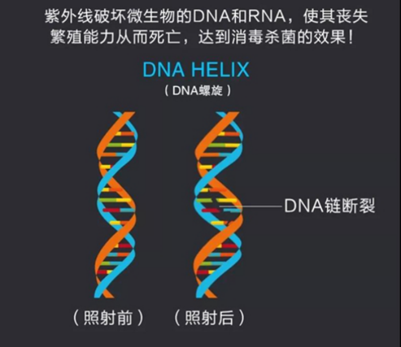 原理圖_副本.png 原理圖_副本.png