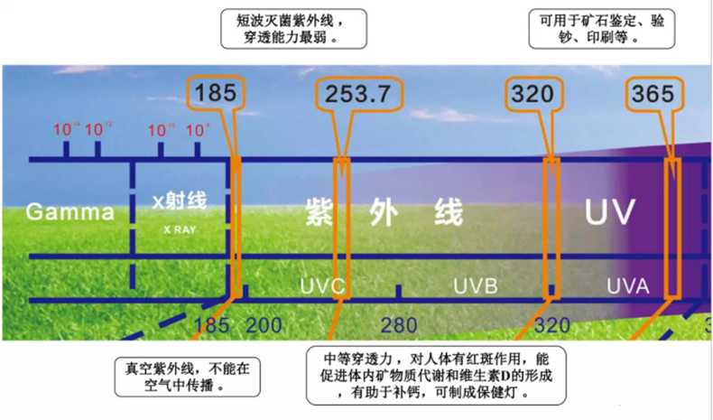790-_副本.png 790-_副本.png